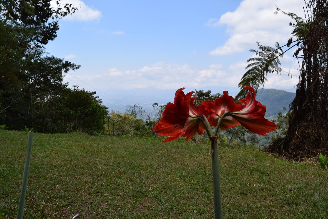Mirador Valle Del General La Ese ภายนอก รูปภาพ