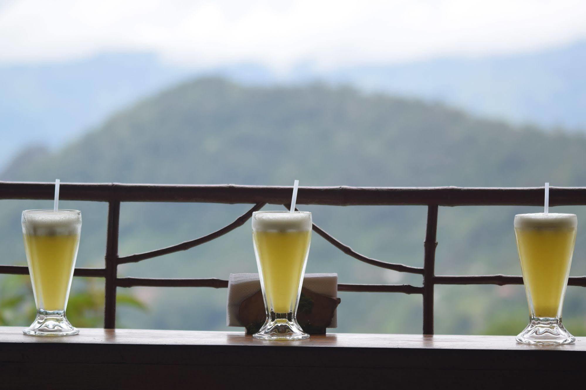 Mirador Valle Del General La Ese ภายนอก รูปภาพ