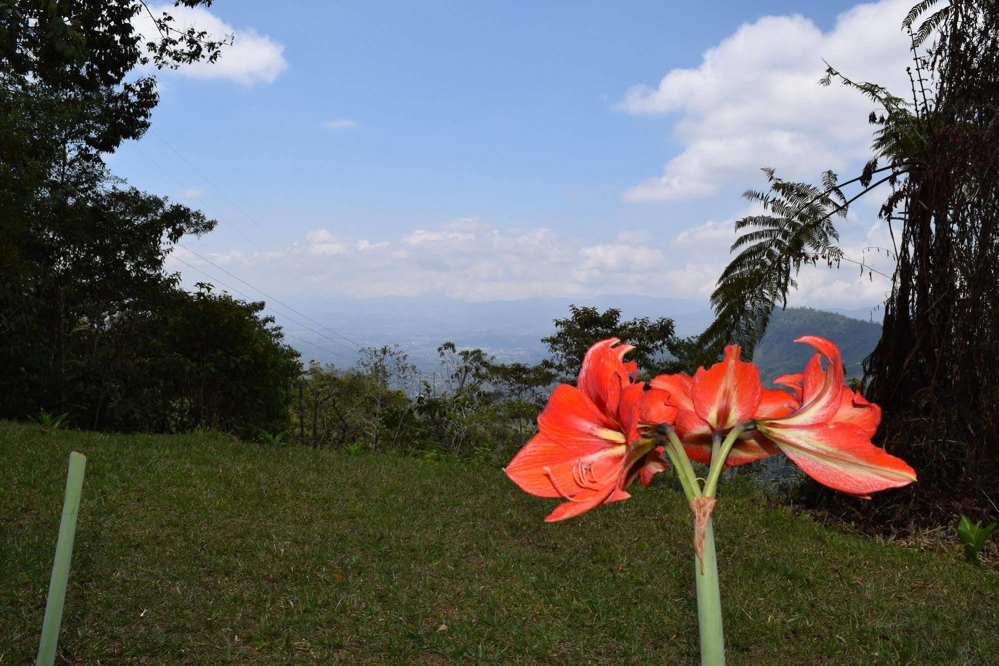 Mirador Valle Del General La Ese ภายนอก รูปภาพ